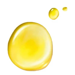 René Furterer Rene Furterer Complexe 5 Stimulating Vegetal Concentrate 2 René Furterer Rene Furterer Complexe 5 Stimulating Vegetal Concentrate - Image 2