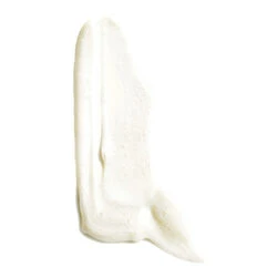 Leonor Greyl Creme Regeneratrice Conditioner For Dry Hair 2 Leonor Greyl Creme Regeneratrice Conditioner For Dry Hair - Image 2