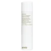 Evo Helmut Finishing Spray/Extra Strong Lacquer