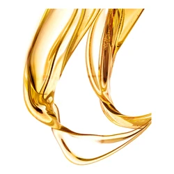 Leonor Greyl Huile Secret De Beaute 2 Leonor Greyl Huile Secret De Beaute - Image 2