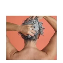 Consonant Strengthening Shampoo - Pure Unscented -Rene Care Shop Strengthening Shampoo Pure Unscented a 68734 5744 general